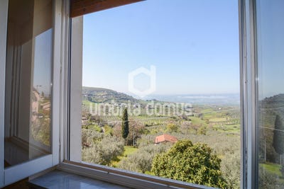 /international/it/montecchio-umbria-310106710803/