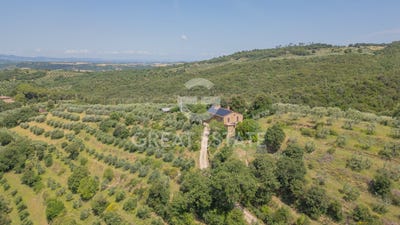 /international/it/citta-della-pieve-umbria-310106447879/
