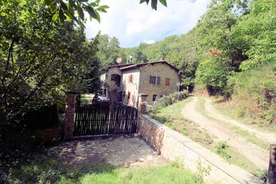 /international/it/pistoia-tuscany-310107185074/