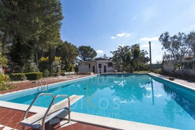 /international/it/oria-apulia-310101110756/?lang=zh-tw