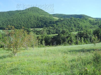 /international/it/acqualagna-marche-310103017992/