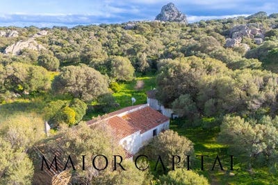 /international/it/olbia-sardinia-310108315982/