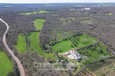 /international/it/martina-franca-apulia-310109228484/?lang=zh-tw