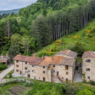 /international/it/bibbiena-tuscany-310108837289/