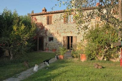 /international/it/arezzo-tuscany-310108325618/