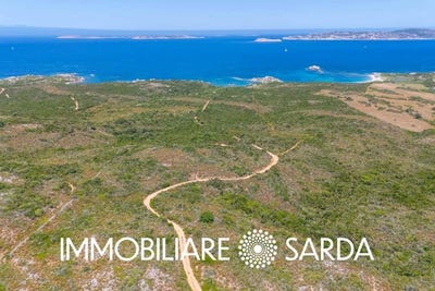/international/it/santa-teresa-gallura-sardinia-310106825792/