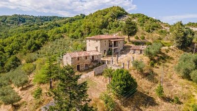 /international/it/montone-umbria-310108057429/