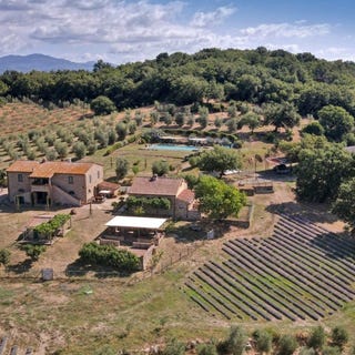 /international/it/gavorrano-tuscany-310108838052/