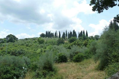 /international/it/impruneta-tuscany-310102421388/