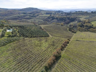 /international/it/36-via-di-novoli-barberino-val-d-elsa-tuscany-310103996143/