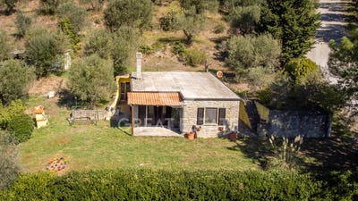 /international/it/tuoro-sul-trasimeno-umbria-310105148600/