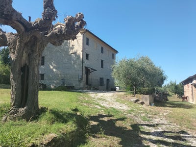 /international/it/cupramontana-marche-310105244664/