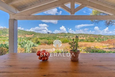 /international/it/olbia-sardinia-310106796965/