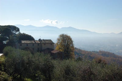 /international/it/capannori-tuscany-310103731967/