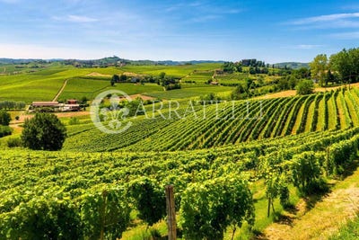 /international/it/tavarnelle-val-di-pesa-tuscany-310105378352/