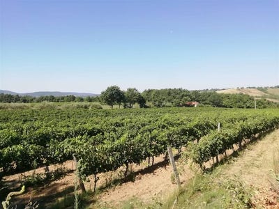 /international/it/sorano-tuscany-310106835828/