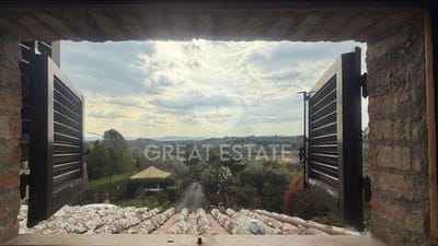 /international/it/siena-campania-310107298601/