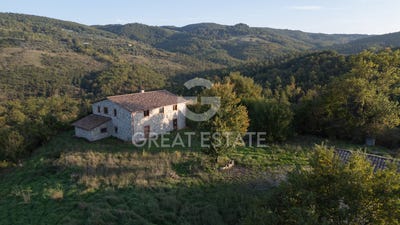 /international/it/san-venanzo-umbria-310098722211/