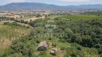 /international/it/cannara-umbria-310101487692/