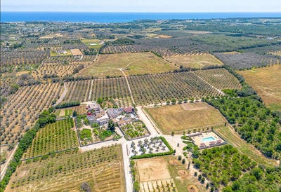 /international/it/81-sp29-melendugno-apulia-310108212251/