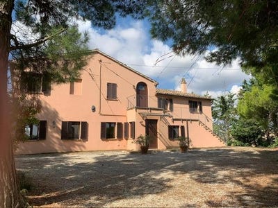 /international/it/castelleone-di-suasa-marche-310102875390/
