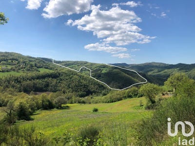 /international/it/podere-casa-nuova-del-cocco-pietralunga-umbria-310103022968/