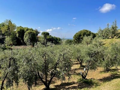/international/it/strada-provinciale-camminata-4-casale-marittimo-tuscany-310108271251/