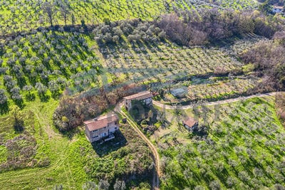 /international/it/bevagna-umbria-310100877360/