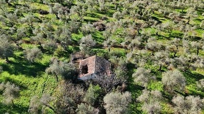 /international/it/sassari-sardinia-310103428888/
