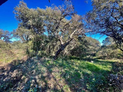 /international/it/telti-sardinia-310110414659/