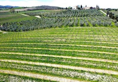 /international/it/castel-del-piano-tuscany-310108087303/