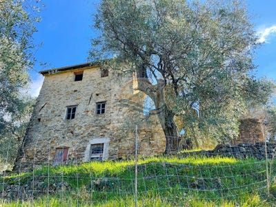 /international/it/bordighera-liguria-310101335967/?lang=zh-cn