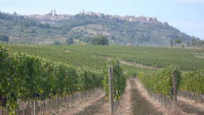 /international/it/montalcino-tuscany-310101709818/