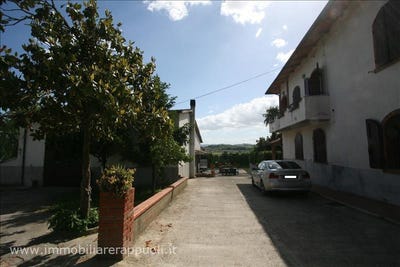 /international/it/foiano-della-chiana-tuscany-120059762916/