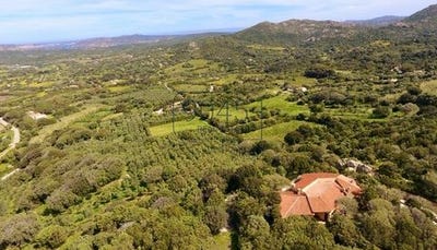 /international/it/via-monti-canu-palau-sardinia-310101419624/?lang=zh-cn