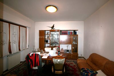 /international/it/bettolle-tuscany-310105993566/