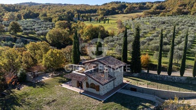 /international/it/castiglione-d-orcia-tuscany-310103817418/