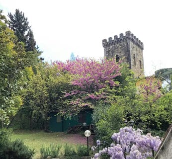 /international/it/via-timoteo-bertelli-florence-tuscany-310105070703/