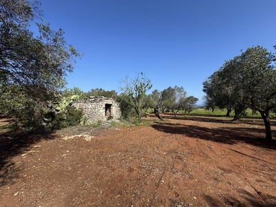 /international/it/carovigno-apulia-310098725069/