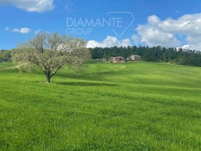 /international/it/valentano-lazio-310104808597/