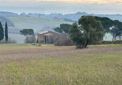 /international/it/castiglione-del-lago-umbria-120089973685/