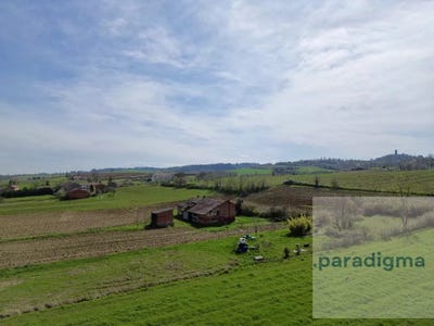 /international/it/localita-fosseto-alessandria-piedmont-310109560824/
