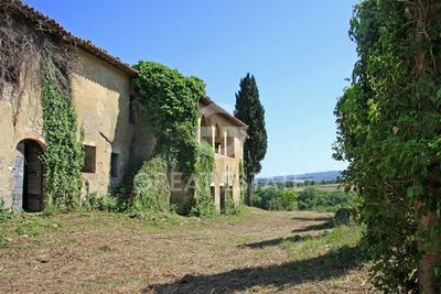 /international/it/citta-della-pieve-umbria-120087018141/