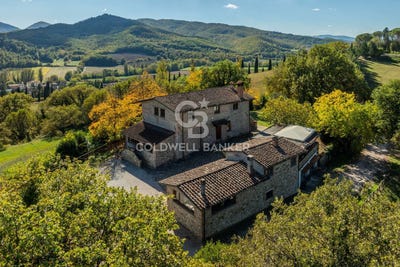 /international/it/lisciano-niccone-umbria-310105305523/