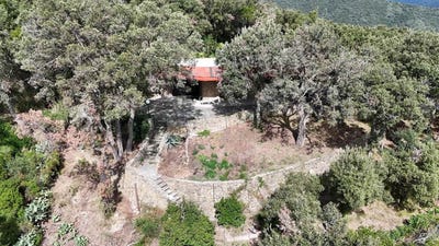 /international/it/grosseto-tuscany-310108321602/