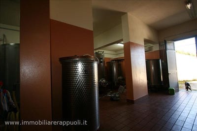 /international/it/castel-del-piano-tuscany-120090749845/
