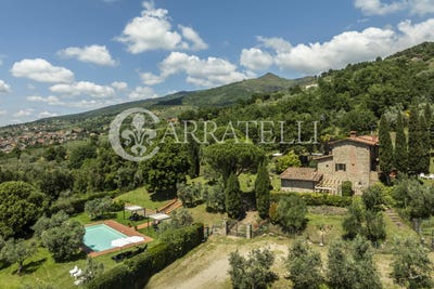 /international/it/reggello-tuscany-310100962512/