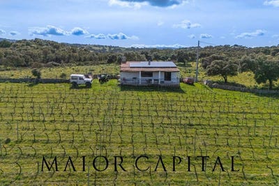 /international/it/oschiri-sardinia-310108317919/