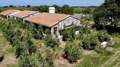 /international/it/via-vicinale-bottico-bibbona-tuscany-310108187963/