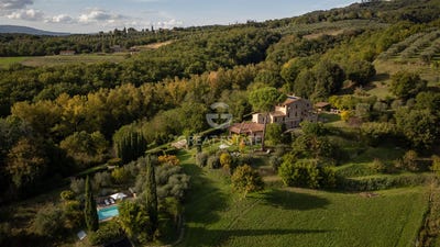 /international/it/citta-della-pieve-umbria-120095659994/